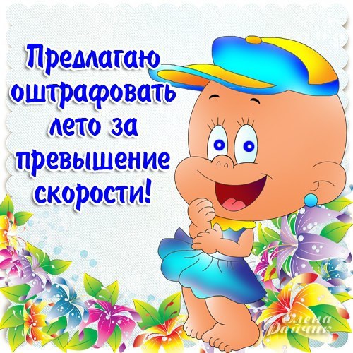 Смешные открытки про лето, картинки аватарку