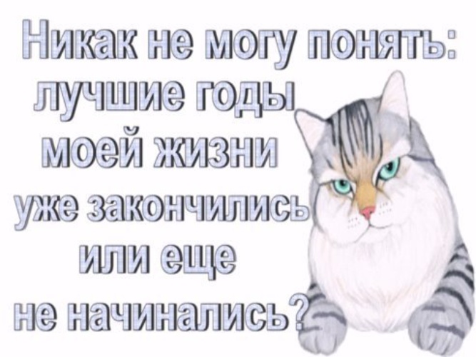 Никак не могу понять. Никак не могу понять лучшие. Никак не могу понять лучшие годы моей жизни. Лучшие годы моей жизни уже закончились. Никак не могу понять.лучшие годы моей жизни закончился.