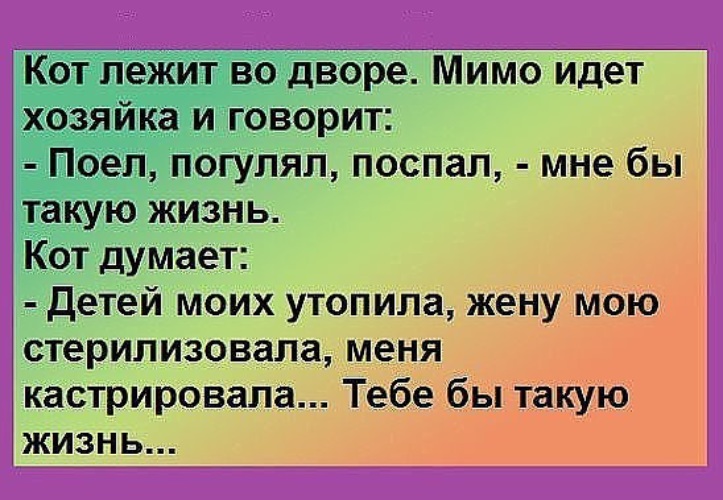 Песня давай пойдем гулять и поедим