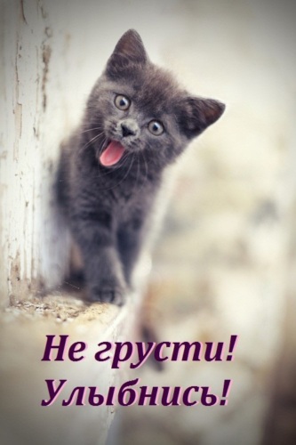 хватит грустить картинки меня было