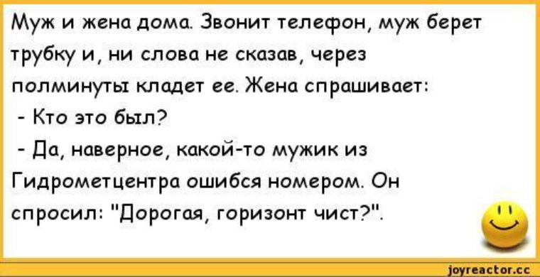 Жена звонит. Анекдот про бывшего мужа. Анекдоты бытовые. Анекдот про дом. Анекдот магазин мужей и жен.