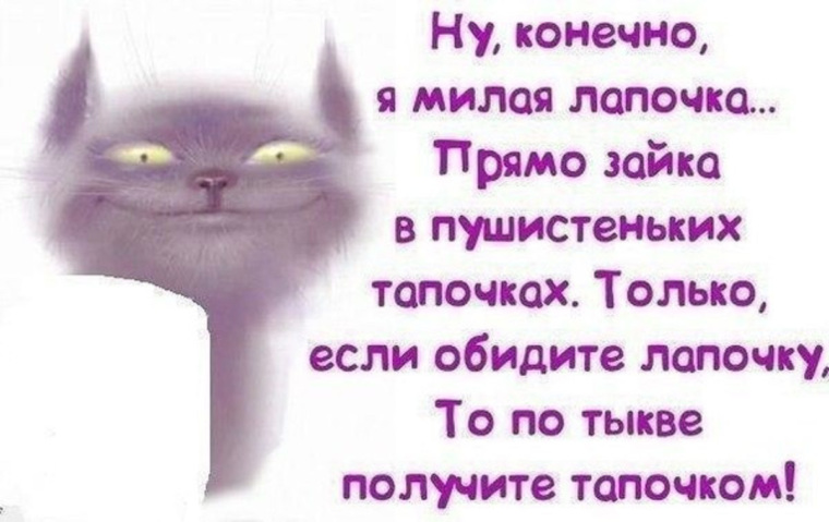 Милая конечно это мило. Если я вам не нравлюсь цитаты. Если я вам не нравлюсь статусы. ПГ тыкве получите тапочком. Я вам не нравлюсь цитаты.