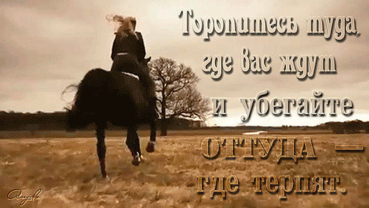 цитаты. спешите туда где вас ждут. единственный способ жить хорошо сразу. властелин колец бегите глупцы. беги миша беги картинки с надписями.