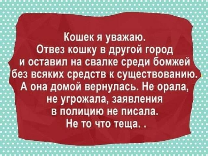 Уважаемая кошка. Существует единственный и надежный сжигатель жира это крематорий. Кошек я уважаю отвез. Лучший сжигатель жира это крематорий. Существует один единственный сжигатель жира это крематори.