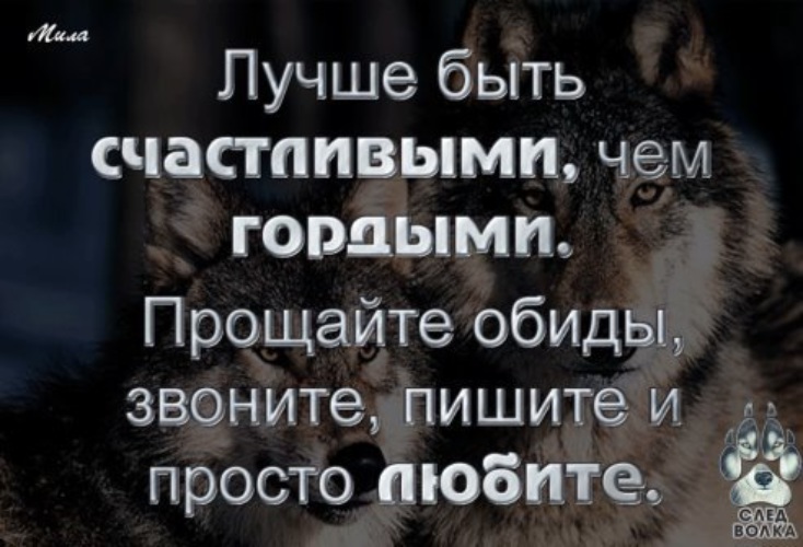 Берегите любимых гордость в старости не согреет картинки