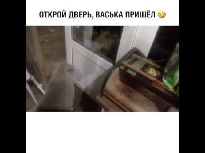 Сань открой хавать хочу