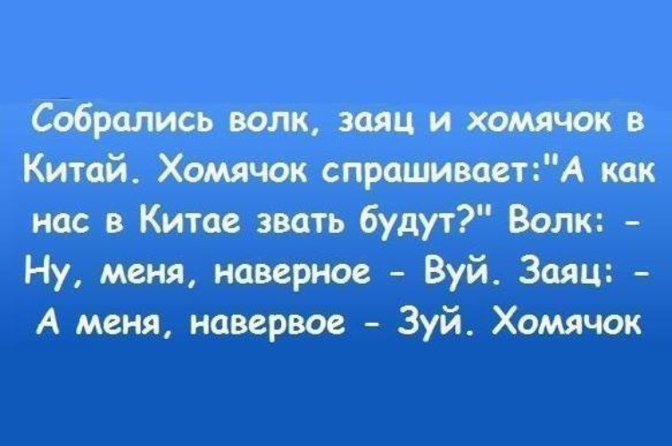 Ах у ели ах у елки. Анекдоты текстовые. Анекдоты текст. Слово смешно, анекдот. Анекдоты текст в картинках.