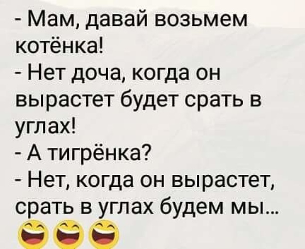 Дают бери. Мама давай возьмем котенка. Мама давай возьмем котенка анекдот. Мама давай подберем котенка. Мам давай возьмем котенка стих.