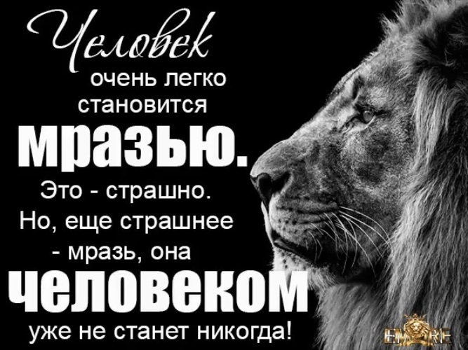 Никогда не бывает всегда. Статусы про животных и людей. Статус про тварей. Люди ублюдки цитаты. Цитаты про мужиков ублюдков.