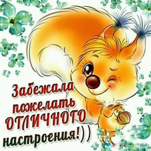 Открытка для настроения мужчине прикольные, днем рождения