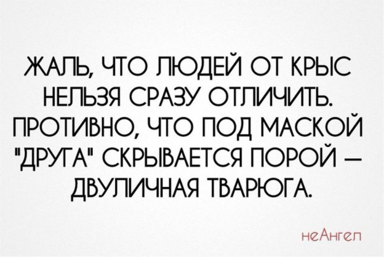 Фрейд человек крыса. Люди крысы статусы. Цитата про крыс людей со смыслом.