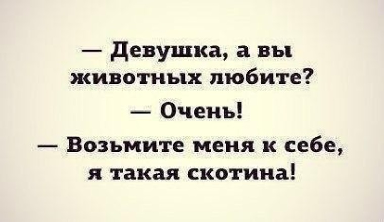 Песня он подлый эгоист а ты зараза. Девушка вы животных любите возьмите меня. Девушка а вы животных любите возьмите. Девушка, вы любите животных?. Девушка, возьмите меня к себе. Я такая скотина.