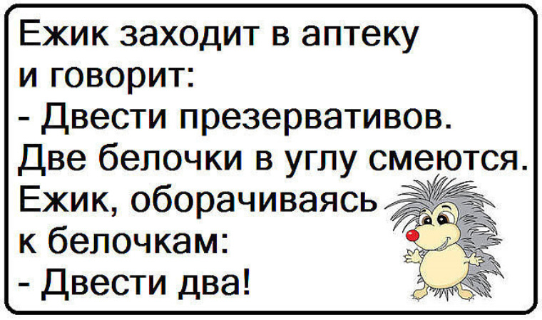 Анекдот про ежика. Жуткий ежик. Анекдот ежик. Анекдот ежик. Шутки про ежиков.