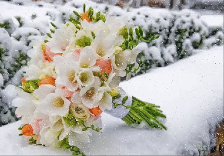 Корзина с цветами на снегу