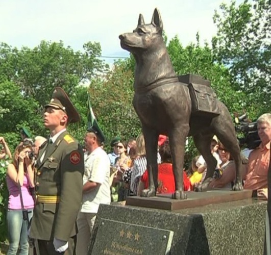 Собаки на войне 1941 1945 картинки на 9 мая