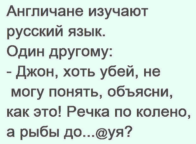 Смешные рыбы. Рыба прикол. Упоротая рыба. Упоротая рыба. Рыба мем.