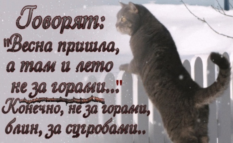 Пофиг что зима снег и мороз - рискнули и всё-таки потрахались