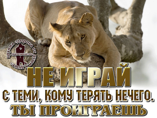 Не терять не свое не чужое. Нечего терять. Не боится тот кому нечего терять. Терять уже нечего. Бойтесь того кому нечего терять.