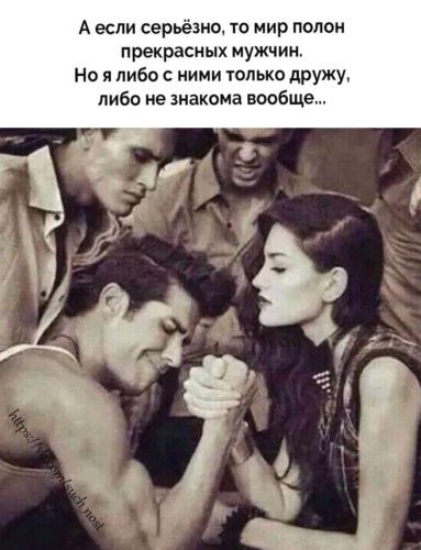 юмор из жизни. мы взяли собаку из приюта. в любви начисто отсутствовал смысл. алиса сказать. девушка можно познакомиться.