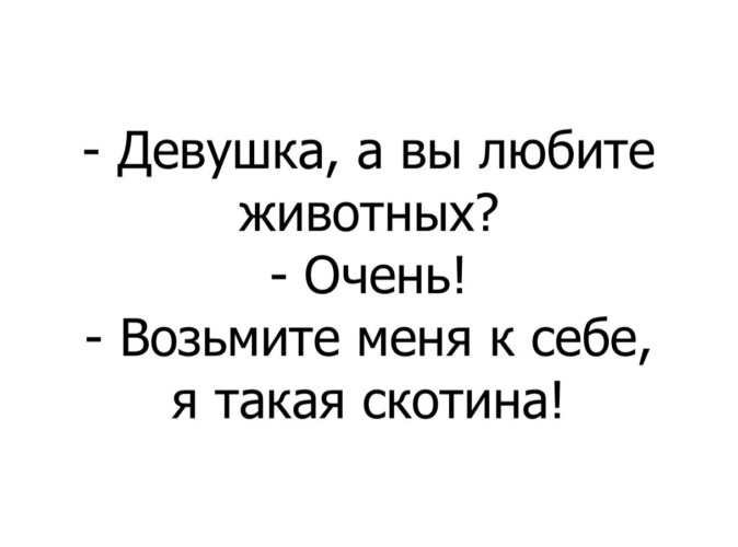 Возьми меня к себе. Девушка вы животных любите возьмите меня. Девушка, вы любите животных?. Возьмите меня к себе я такая скотина. Ишак матрос.