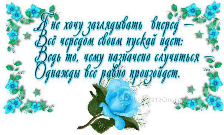 светлые чувства. счастливые воспоминания. книга жизни. стихи о книге жизни. словно травы шелестят слова.