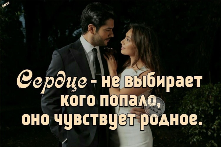 Картинки родственников не выбирают