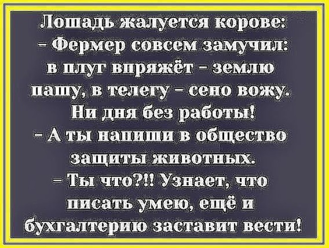 Анекдот Про Животных С Матом