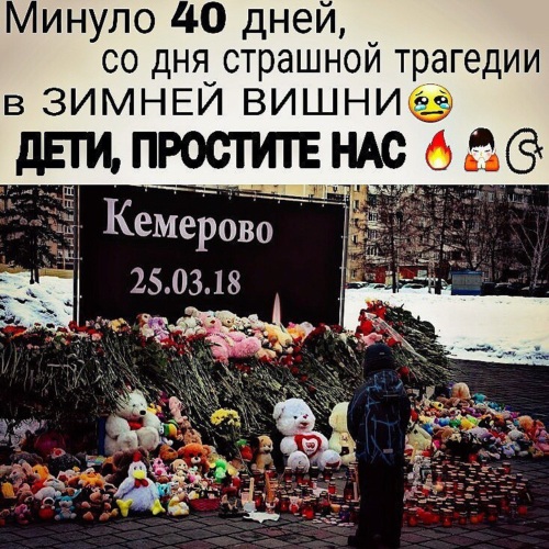 Ангелы зимняя вишня. Зимняя вишня интересные факты. зимняя вишня стихотворение. зимняя вишня стихи. зимняя вишня слова.
