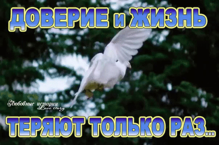 Как много всего нужно сделать 953