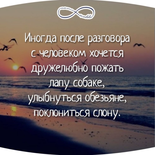 анекдот а осадок то остался. иногда хочется пожать лапу собаке после разговора с человеком. вилки нашлись а осадок остался анекдот. остался осадок после разговора. цитата есть люди как люди.