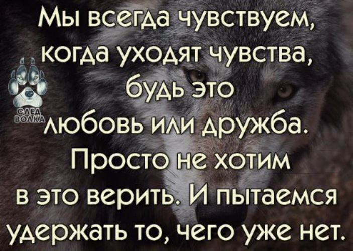 Чувства ушли. Чувства уходят. Чувства не уходят уходят люди. Куда уходят чувства. Почему чувства ушли ?.