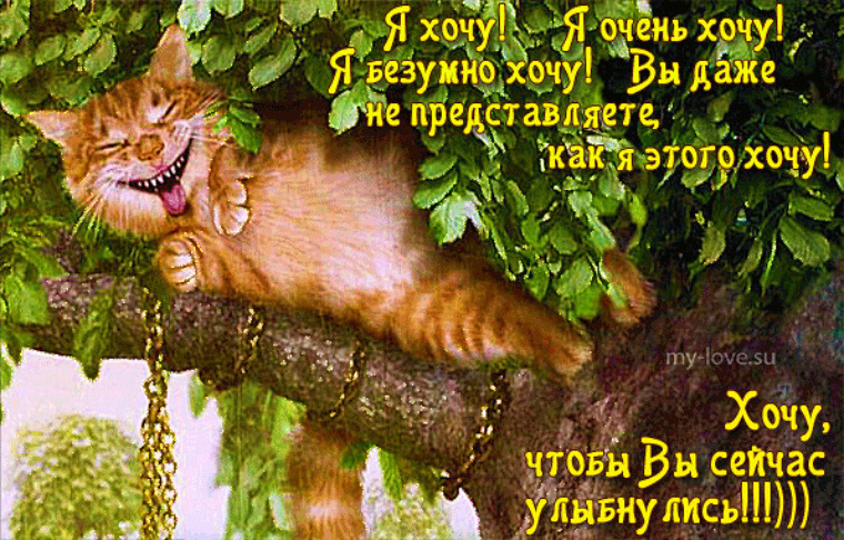 Кот Ученый Фото