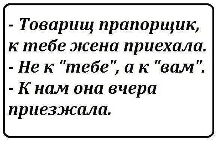 Жена приехала. Высказывания прапорщика. Товарищ прапорщик к тебе жена приехала. Анекдоты про прапорщиков. Цитаты про прапорщиков.