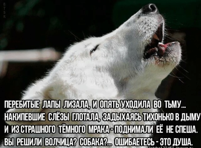 Тест чем ты перебиваешь боль