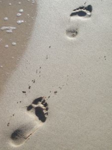 Presence footsteps 1.20 1. Следы на песке. Шаги на песке. Следы на песке картинки. Следы ласки на песке фото.