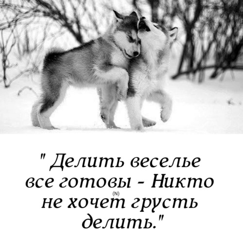 Жизнь все расставит по своим местам и каждый будет там где должен быть картинки