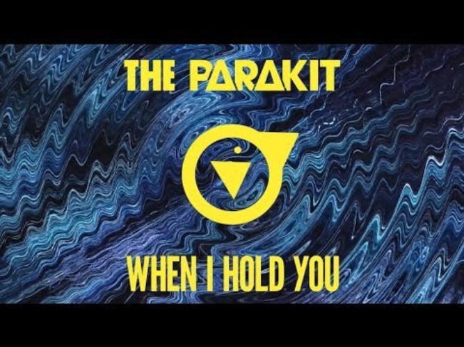 The parakit alden jacob save me. The Parakit. Alden Jacob певец. The Parakit when i hold you. The Parakit feat. Alden Jacob.