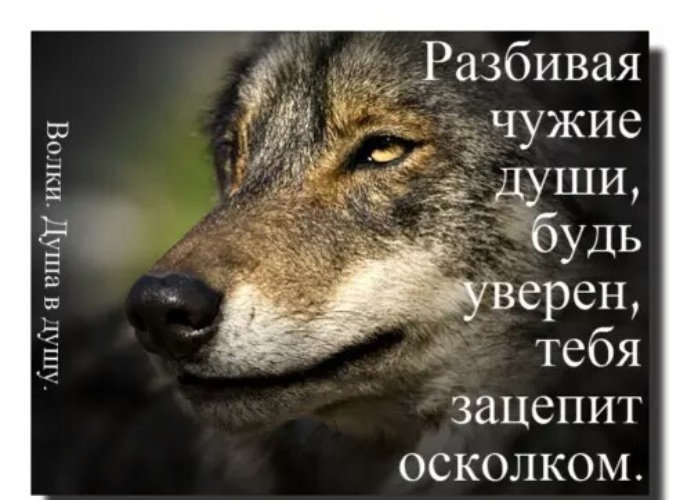 Не сломает ветер чужой душу арестантскую. Ломают чужую жизнь. Не ломайте чужие души. Не ломайте чужие судьбы. Ломать чужие жизни.