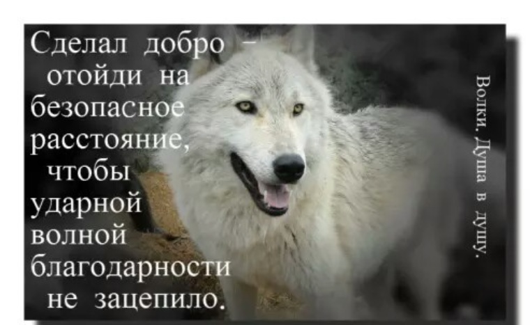 Сделал добро отойди на безопасное расстояние чтобы ударной волной благодарности не зацепило картинки