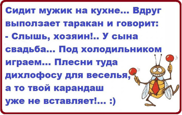 Слышь сидеть. Анекдот про тараканов. Анекдоты про тараканов в квартире. Анекдот про тараканов хозяин. Анекдот про тараканов и дихлофос.