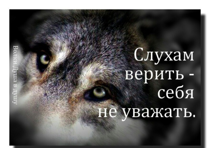 Никогда не верьте слухам. Не верьте слухам цитаты. Не надо верить слухам. Не верь слухам цитаты. Поверьте не кому не верьте. Никогда не верьте слухам. Не верьте слухам цитаты. Не надо верить слухам. Не верь слухам цитаты.