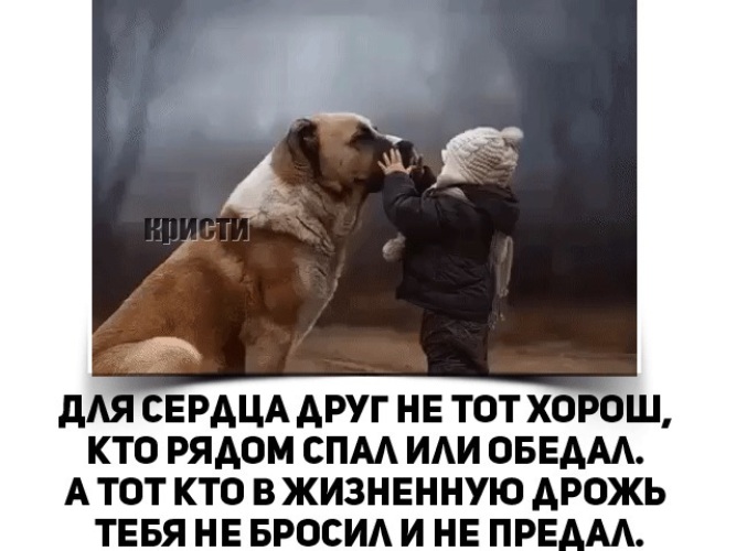 Картинка бросил друг