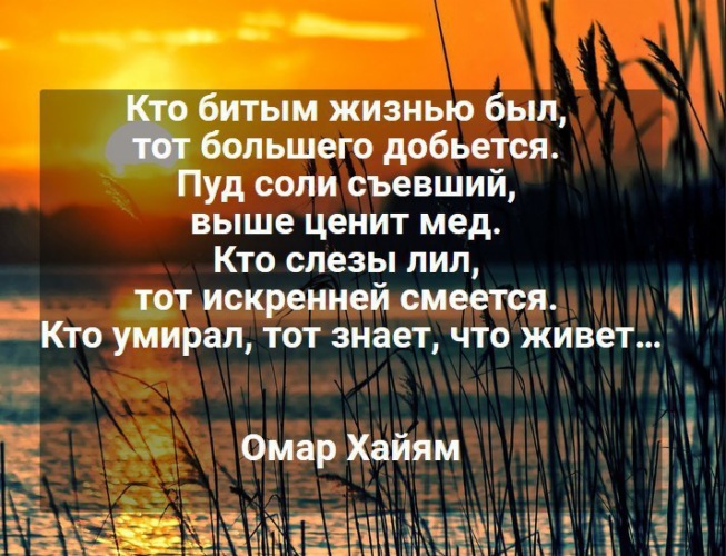 «Кто битым жизнью был, тот большего добьется» - Х. Омар ~ …