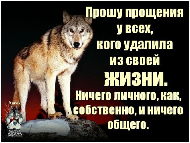 Ничего личного картинки. Я всегда хотела отвечать людям добром но жизнь. Я всегда отвечала людям добром но жизнь научила отвечать взаимностью. Я всегда хотел отвечать людям взаимностью. Ничего личного цитаты.