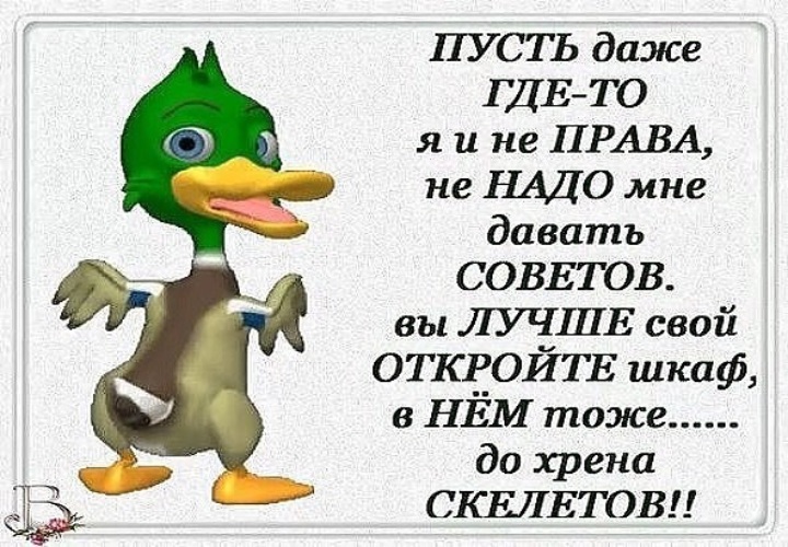 интересные поздравления с добрым утром. смешные надписи на прозрачном фоне. пусть у тебя все будет хорошо. веселые картинки для настроения. пусть все будет хорошо.