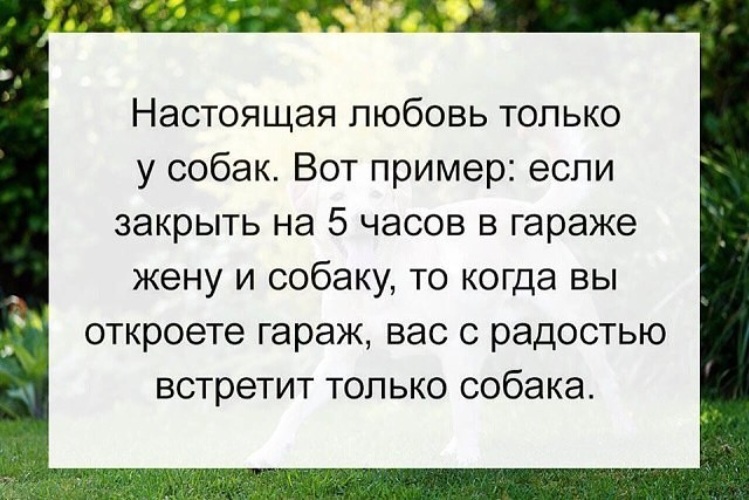 Пример настоящей любви из жизни Лента по интересам - Юмор - 1100790 - Tabor.ru