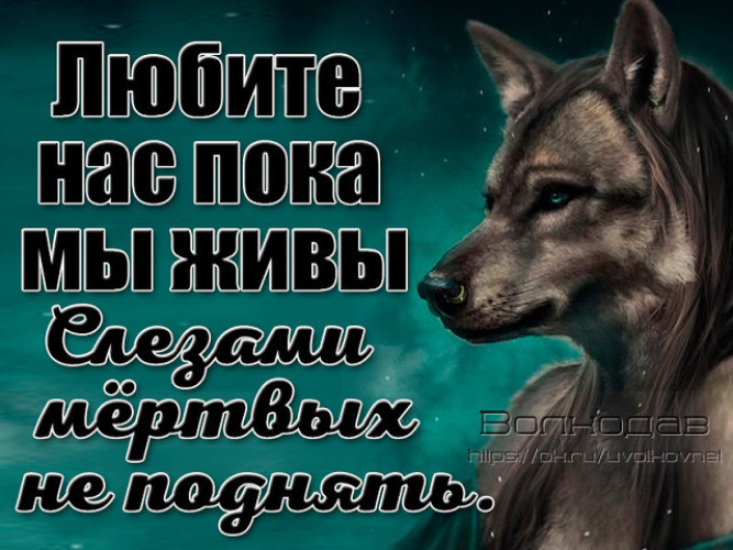 Живыми нам не выйти. Любите нас пока мы живы слезами мертвых не поднять. Возвращайтесь ребята домой. Ура мы выжили. Возвращайтесь ребята домой.