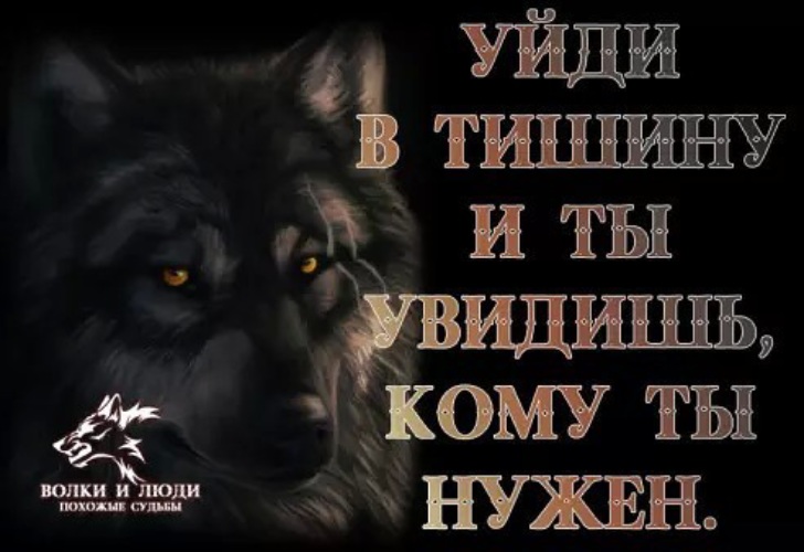 Одинокий волк фото на аву с надписью