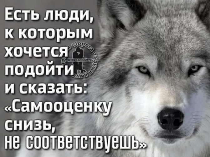 Скажи подходящий. Цитаты про самооценку. Самооценку снизь не соответствуешь. Цитаты о людях с завышенной самооценкой. Статусы о людях с завышенной самооценкой.