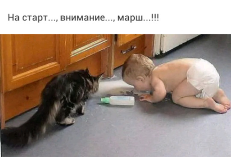 Лижет пол. Кот плохому не научит. Кот для детей. Дети и коты. Ребенок ползет смешно.